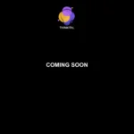 thinkital.com