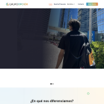 grupoopcion.com