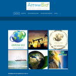 arrowbiodelasamericas.com