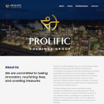 prolific-holdings.com