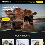 spring-im.com