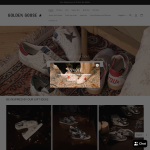 goldengoose-online.com