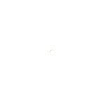 irancapsule.com