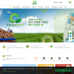 ckapsweet.com