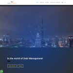 expressdebtmanagement.ae