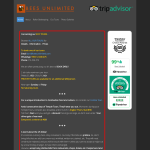 beesunlimited.com